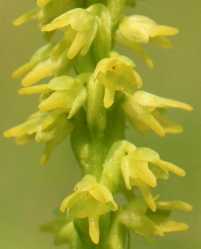 02-07-09 248a.jpg