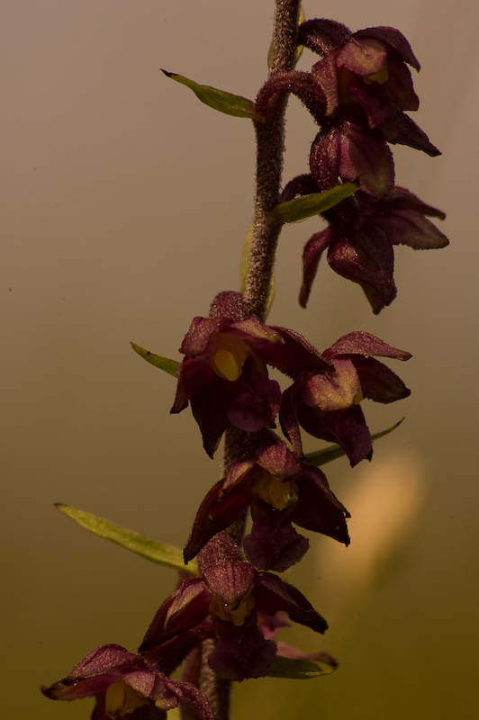 DSC_0155.jpg