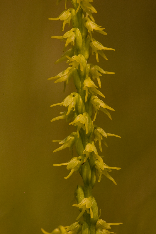 DSC_0364.jpg