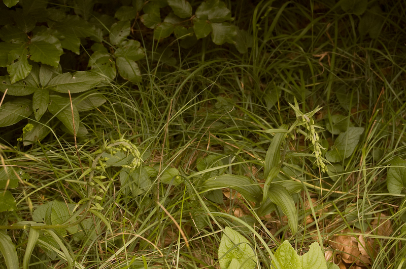 DSC_0281.jpg