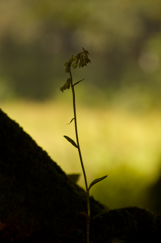 DSC_0107-2.jpg