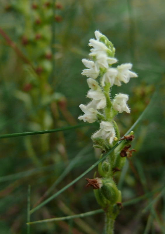 Herschaalde kopie van 20090722_7.jpg
