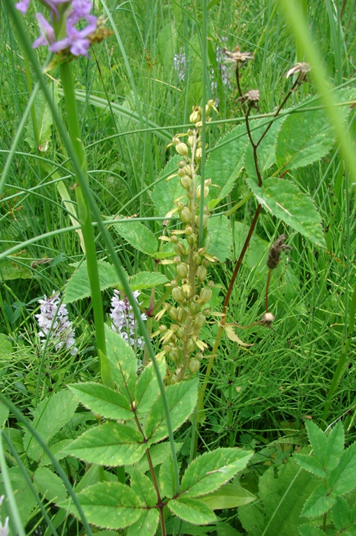 vakantie 2009 I 044.1JPG.JPG