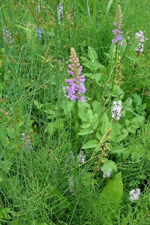 vakantie 2009 I 037.1JPG.JPG