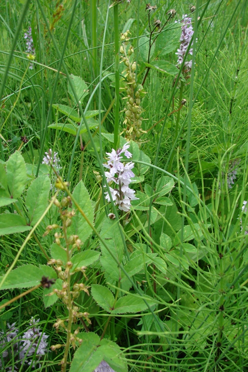 vakantie 2009 I 034.1JPG.JPG