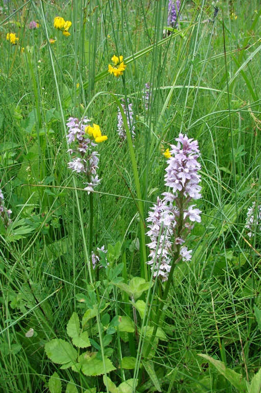 vakantie 2009 I 031.1JPG.JPG