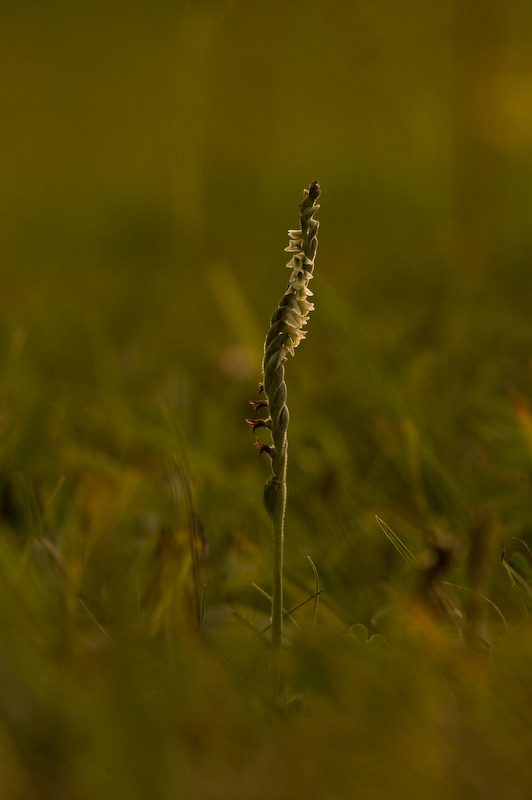 DSC_0109-2.jpg