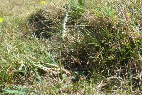 20090823_62.jpg
