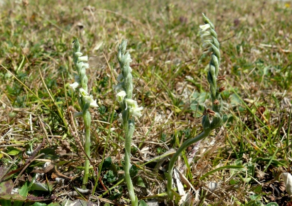 20090823_100.jpg