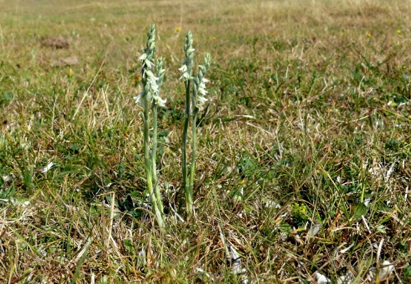 20090823_129.jpg