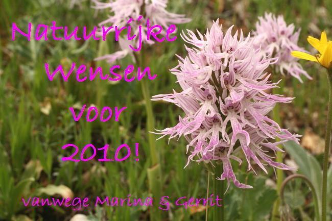nieuwjaar 2010.2.JPG