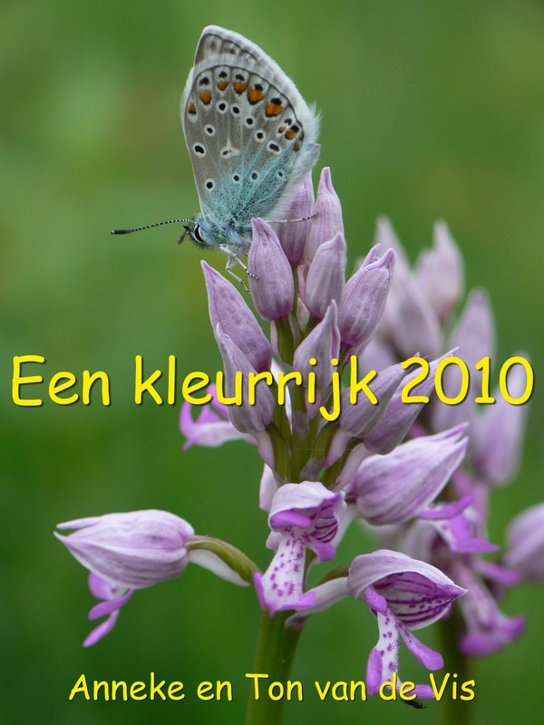 kaartje 2010 orchidee.jpg