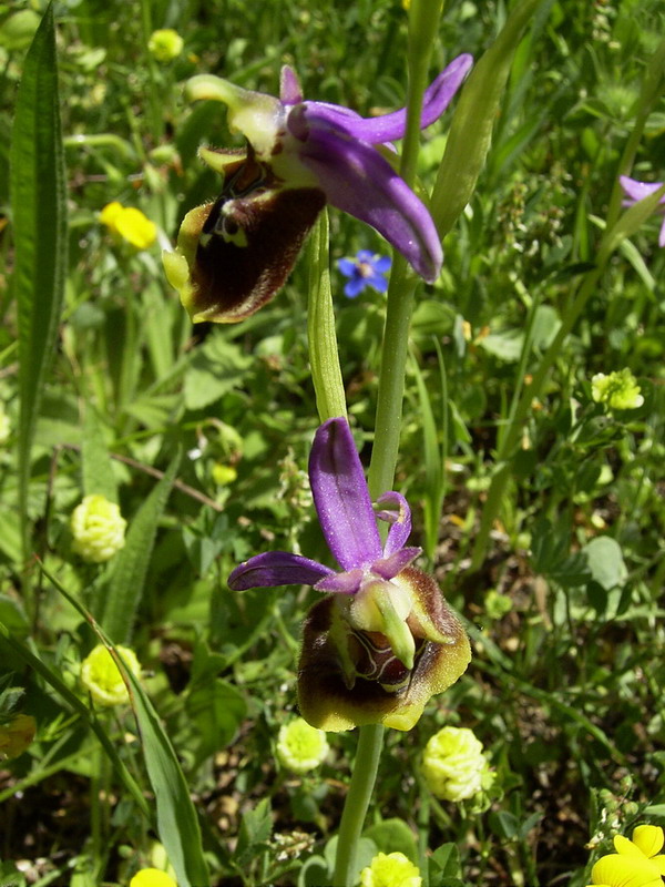 RIMG0095.jpg