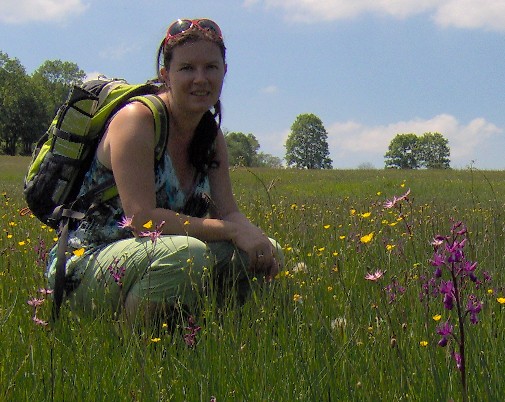 Orchideeënveld1.jpg