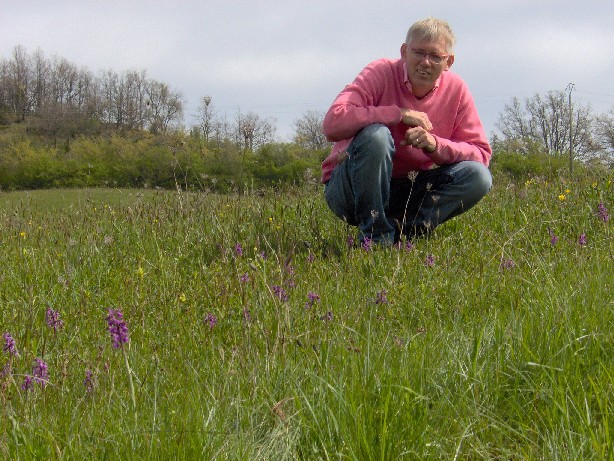 Orchideeënveld2.jpg