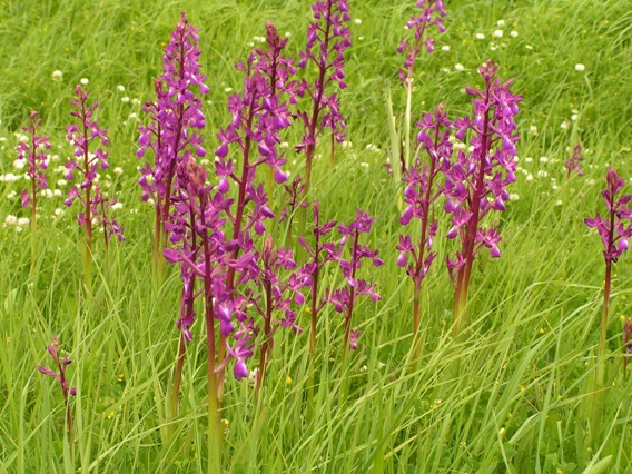 PICT0707.JPG