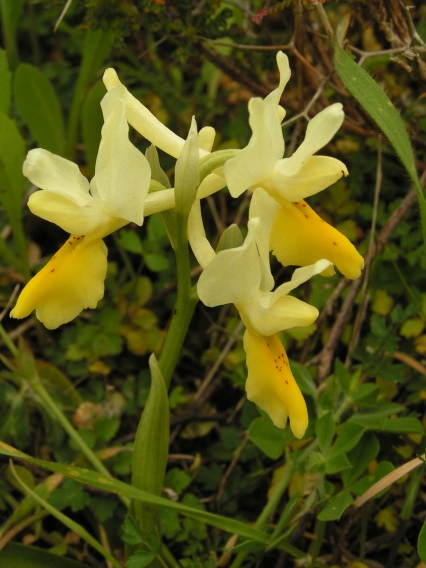 PICT0813.JPG
