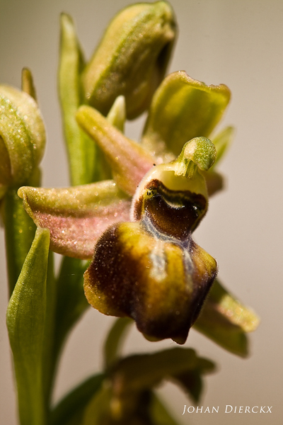 JD_20100406_079.jpg