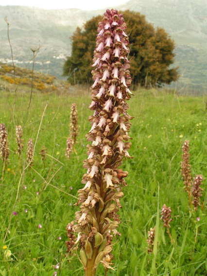 PICT0909.JPG