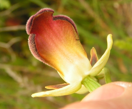 PICT1327.JPG