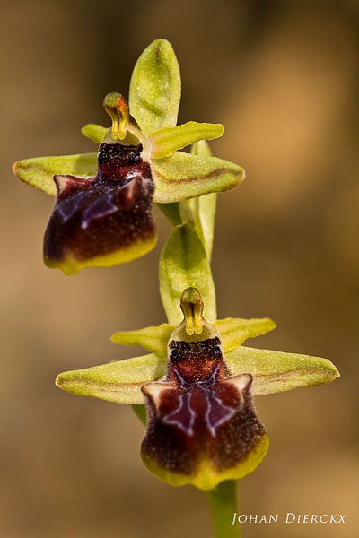 JD_20100407_167.jpg