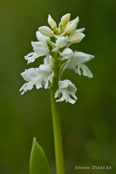 JD_20100524_026.jpg