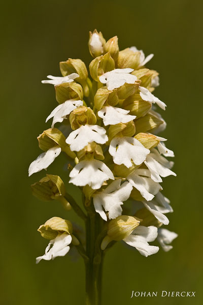 JD_20100522_306.jpg