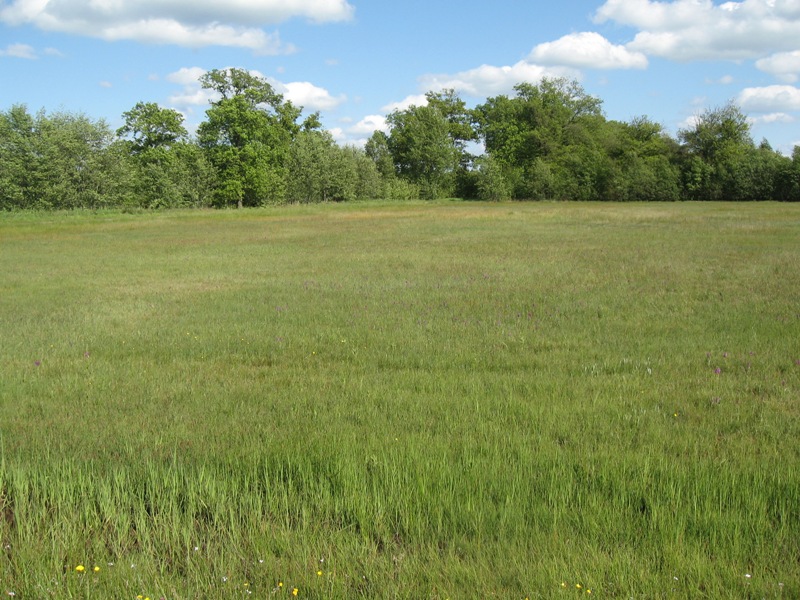 Veldje.