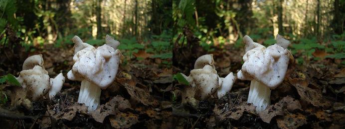 met stereo kijkertje