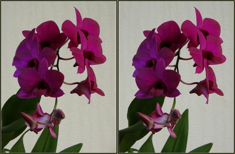 Close-up lens +1 6x zoom.JPG