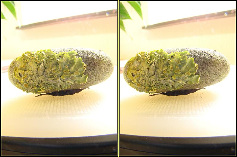 Normaal objectief  1x zoom.JPG