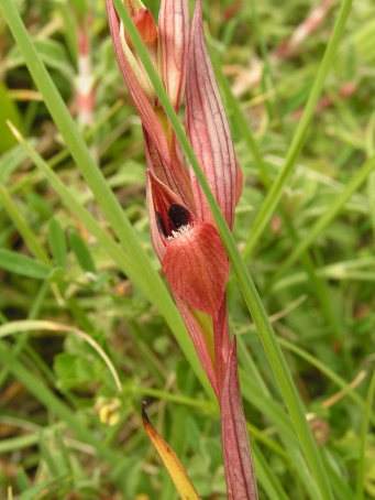 PICT0126.JPG