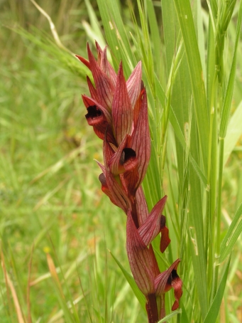 PICT0341.JPG