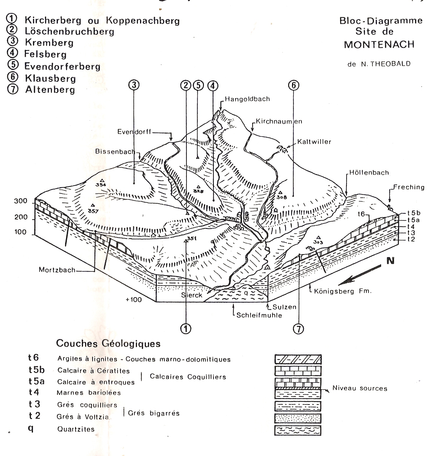 Montenach-Orchid__e.jpg