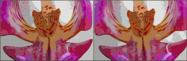 Cross-eyed stereobeeld