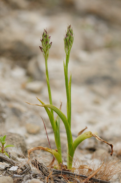 PW20110426_140015.jpg