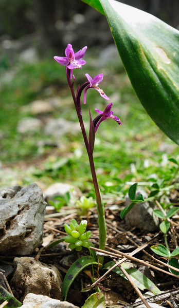PW20110504_102046.jpg