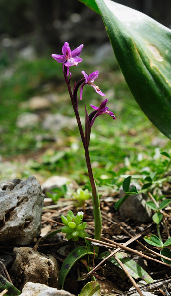 PW20110504_102046.jpg