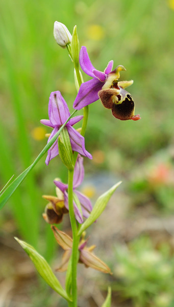 PW20110427_113734.jpg