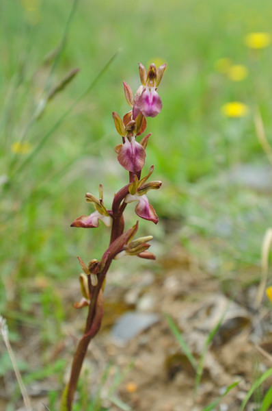 PW20110427_113923.jpg