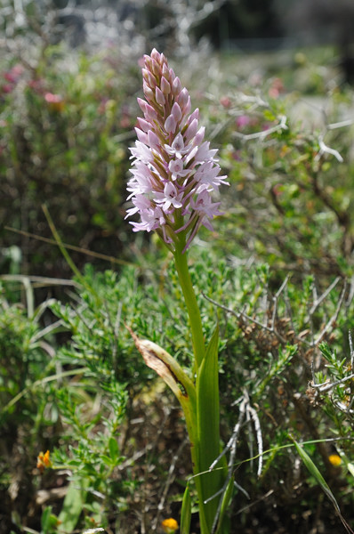 PW20110504_094037.jpg