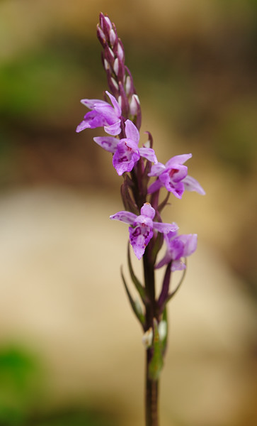 PW20110531_144458.jpg