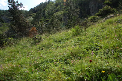 110712_0038.JPG