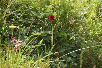 110712_0039.JPG