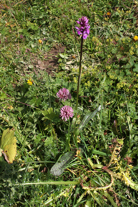 2011_07_27_15_05_59A.jpg