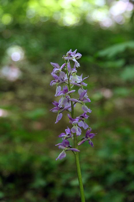2011_05_04_12_58_18 C.jpg