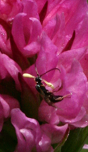 C05_7628_bestuiver.JPG
