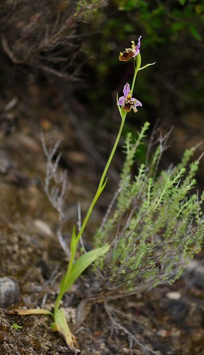 PW20110430_113820.jpg