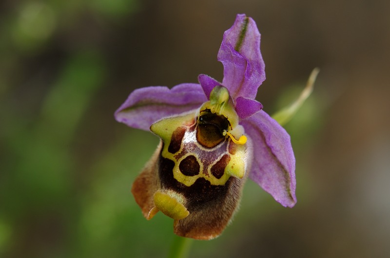 PW20110430_114424_01.jpg
