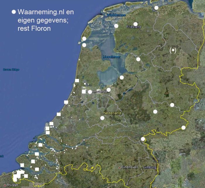 Bijenorchis verspreiding.jpg